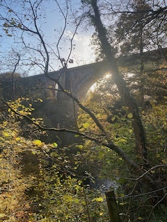 Ballochmyle 2