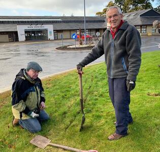 Crocus Planting at East Ayrshire Community Hospital