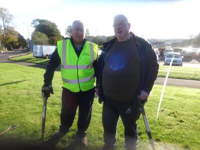 Crocus Planting